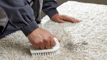 Professional Rug Cleaning Deer Park